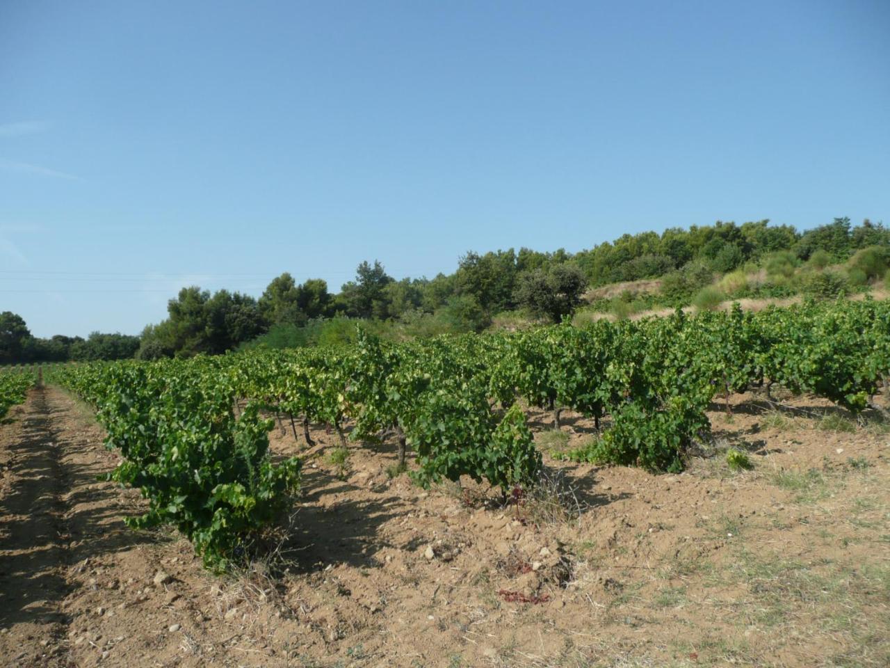 Gite Du Serre De Boudre Climatise, Spa Permanent Buisson Zewnętrze zdjęcie